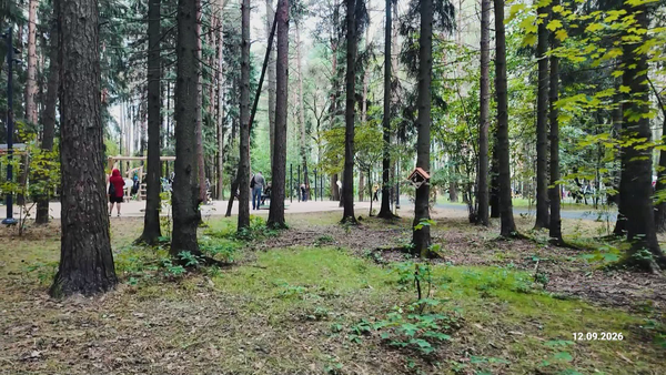 спутник 16