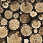 stacks-timber