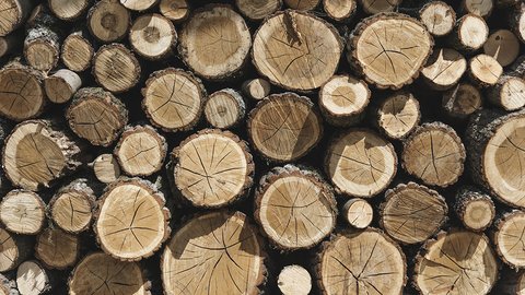 stacks-timber