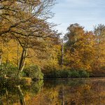 stunning-shot-lake-middle-park-full-trees