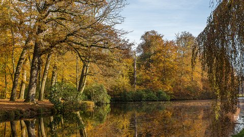 stunning-shot-lake-middle-park-full-trees
