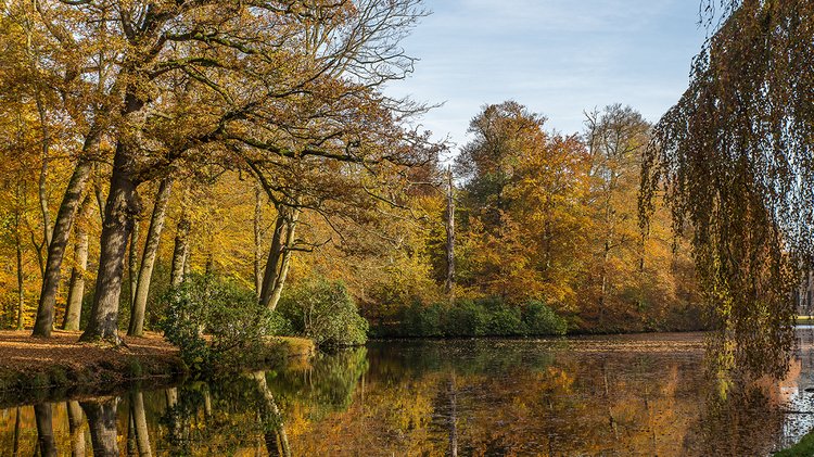 stunning-shot-lake-middle-park-full-trees