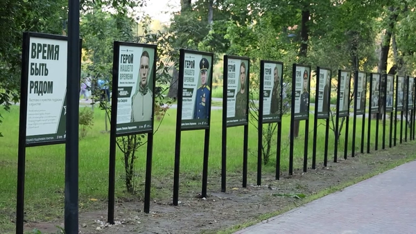 сво 31