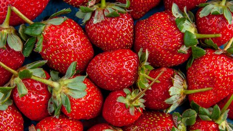top-view-red-strawberries-blue-background