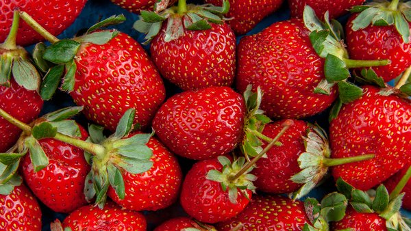top-view-red-strawberries-blue-background