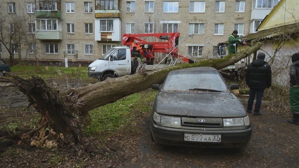 Плакать не будут: машина бесхозна уже полтора года