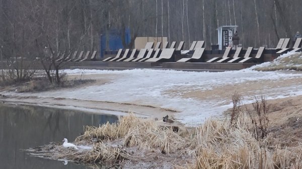 Приходите познакомиться с необычным жителем парка