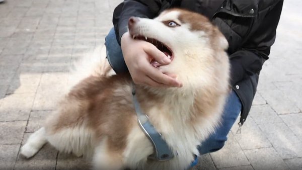 вакцинация