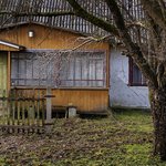 view-abandoned-decaying-house-nature