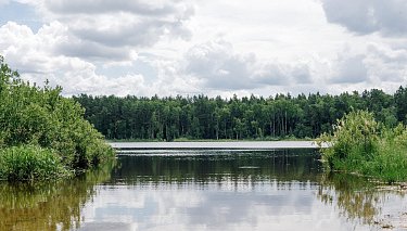 вв54kj5hx1q1yxsmur9yx7v83k6q81bp2t