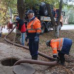 whatsapp-image-2025-09-25-at-114401