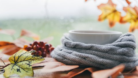 white-cup-knitted-scarf-with-maple-leaves