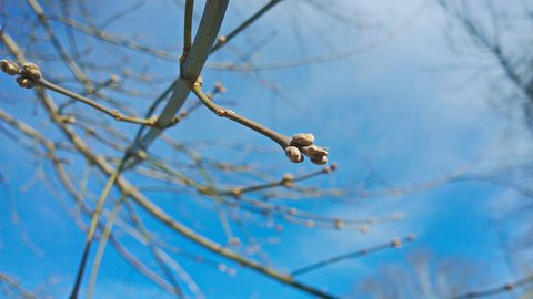 wp_20160329_008-ekaterina-djatlovskaja