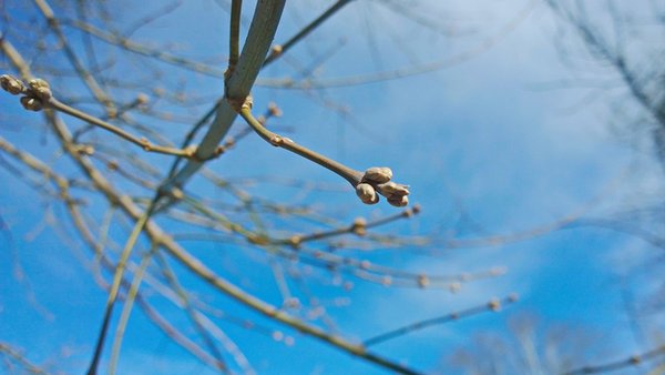 wp_20160329_008-ekaterina-djatlovskaja