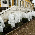 yl98vvlwefm9yc040t1nj8ew33nylmdf