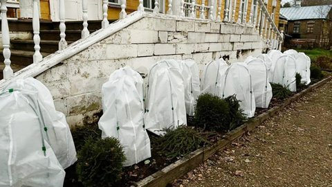 yl98vvlwefm9yc040t1nj8ew33nylmdf