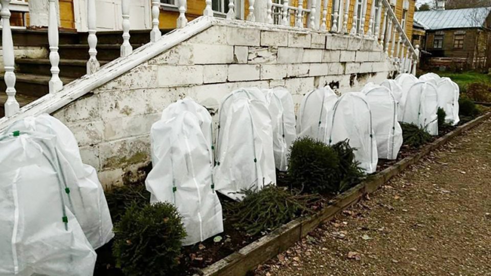 yl98vvlwefm9yc040t1nj8ew33nylmdf