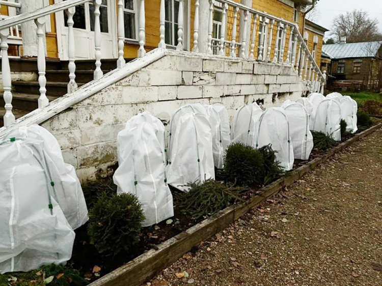 yl98vvlwefm9yc040t1nj8ew33nylmdf