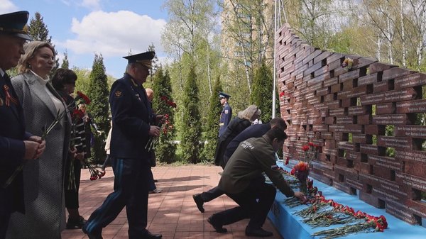 звездный обл